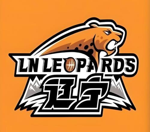 伯明翰德比,郡巅峰对决,负战况揭晓,星空,StarSky,星空官网,星空体育官网,星空体育下载,星空APP