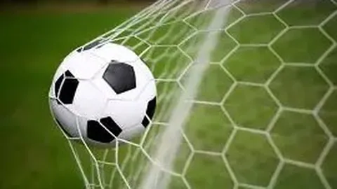 意甲风云再起：蓝黑雄狮强势对决，中流砥柱争霸前瞻！